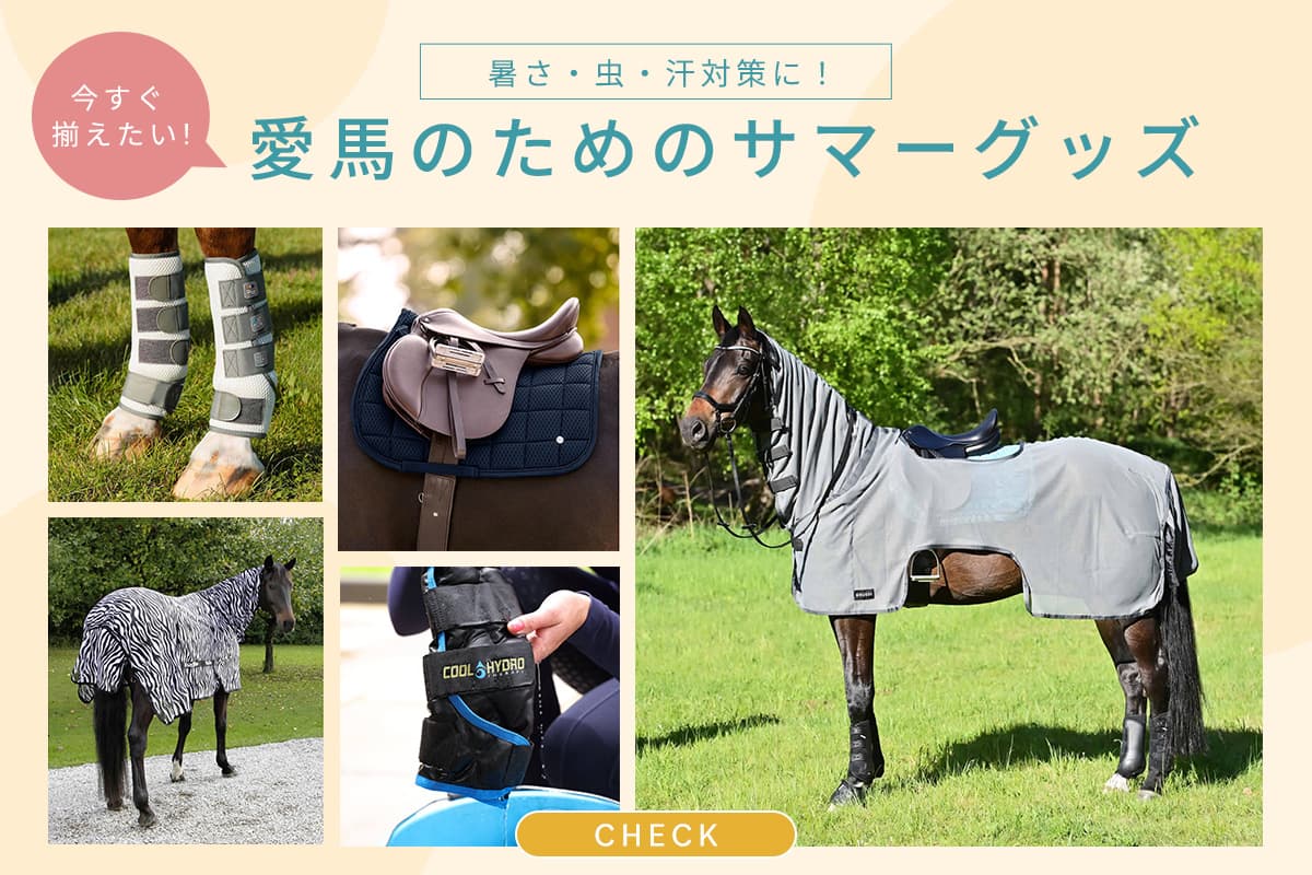 【暑さ・虫・汗対策】今すぐ揃えたい！愛馬のためのサマーグッズ