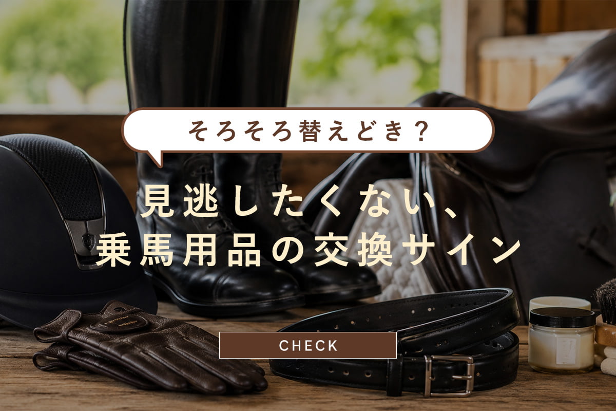 乗馬用品、そろそろ替えどき？見逃したくない交換サイン