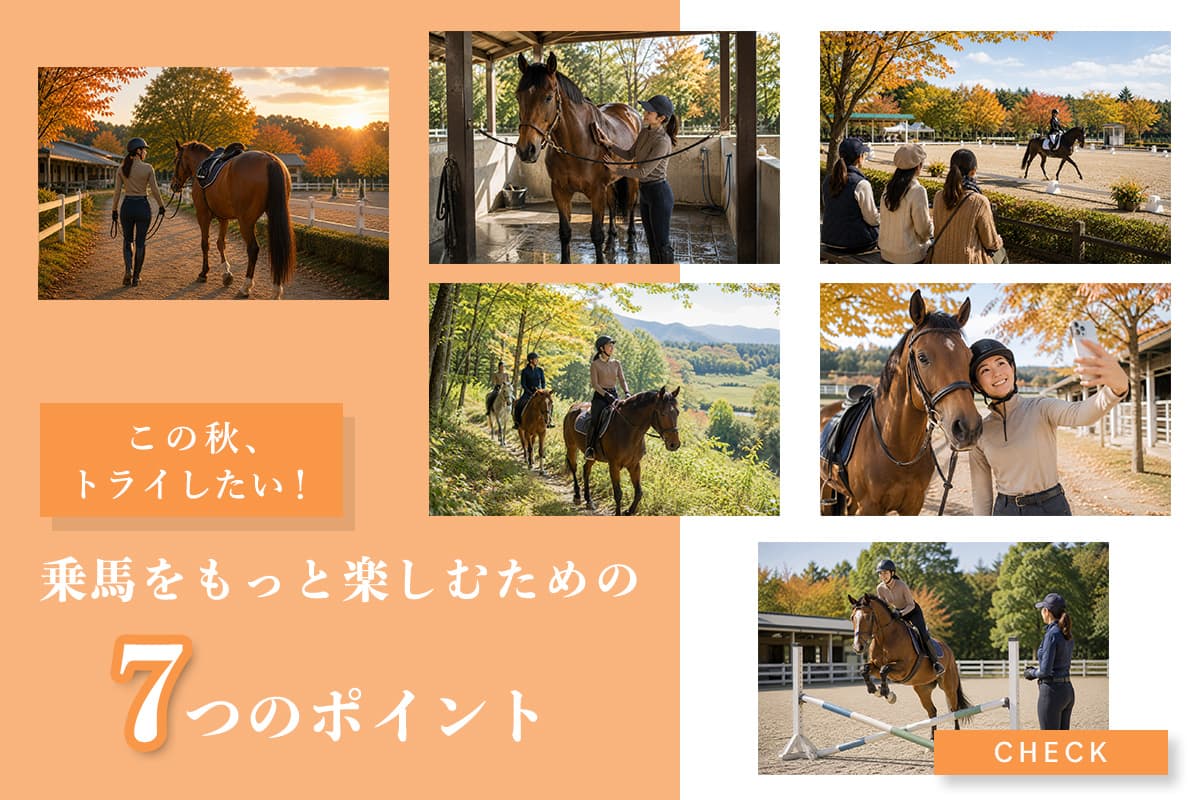 この秋トライしたい！乗馬をもっと楽しむための7つのポイント