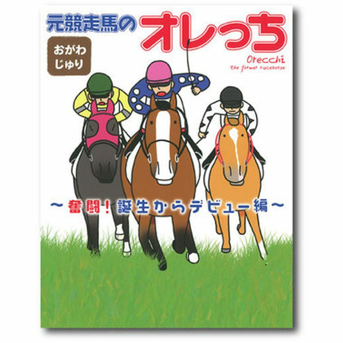 元競走馬のオレっち|JODHPURS (ジョッパーズ) 乗馬用品＆ライフスタイル