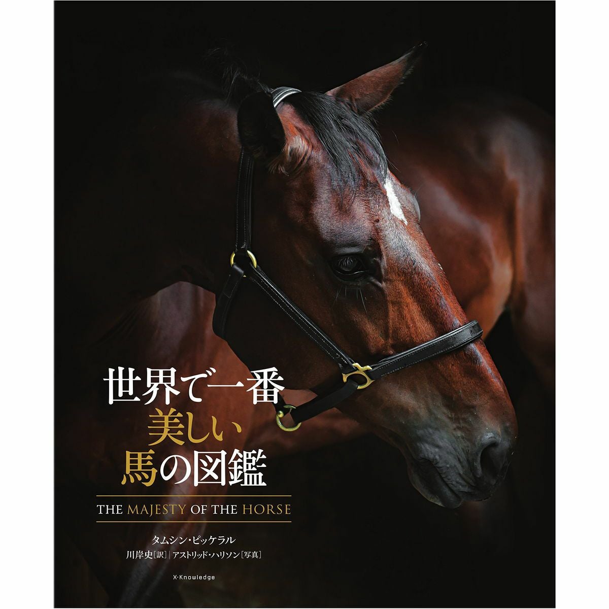 世界で一番美しい馬の図鑑|JODHPURS (ジョッパーズ) 乗馬用品＆ライフ