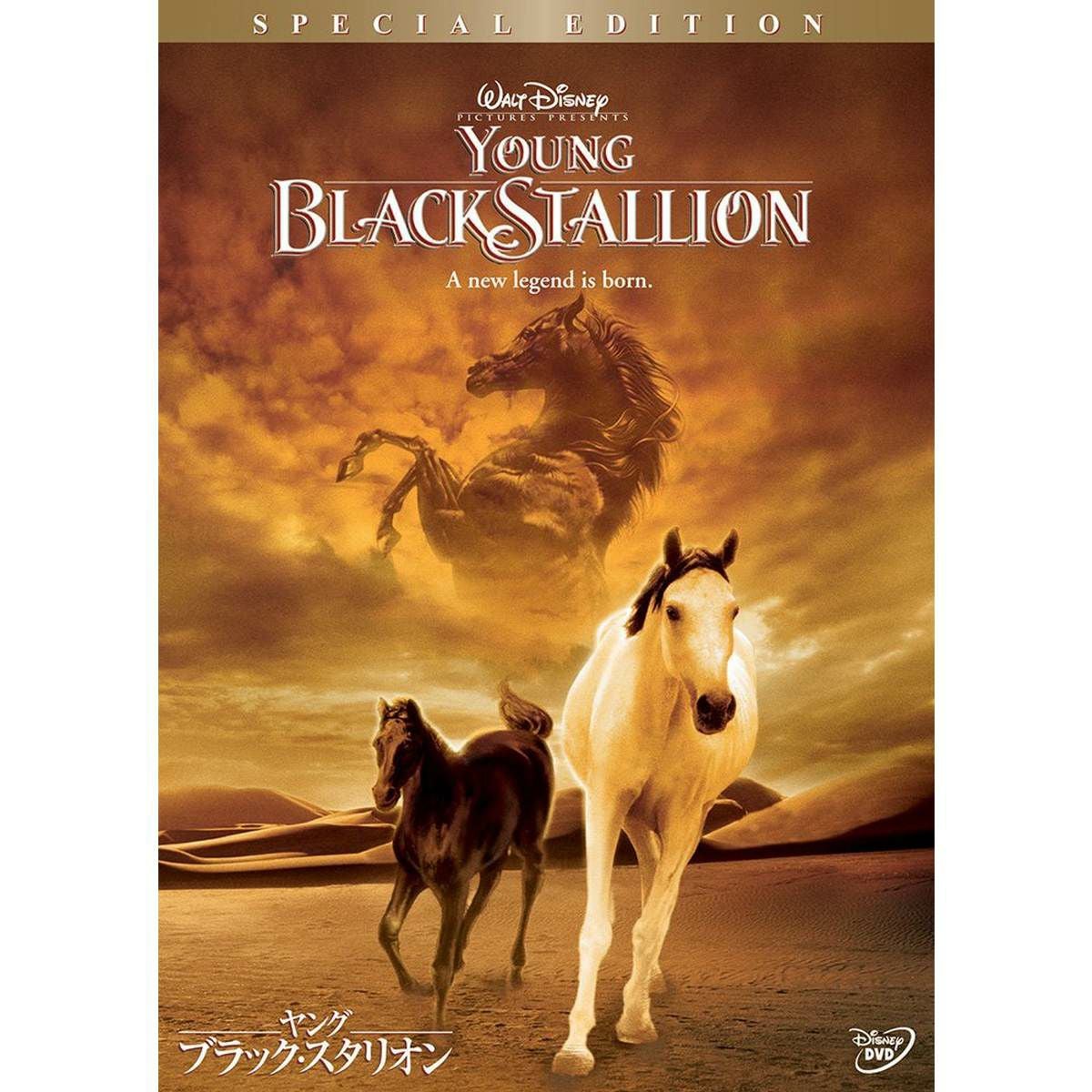 DVD・ブルーレイ|JODHPURS (ジョッパーズ) 乗馬用品＆ライフスタイル