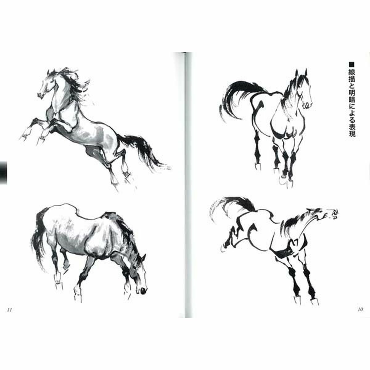 馬の図案集ースケッチから水墨画まで|JODHPURS (ジョッパーズ) 乗馬