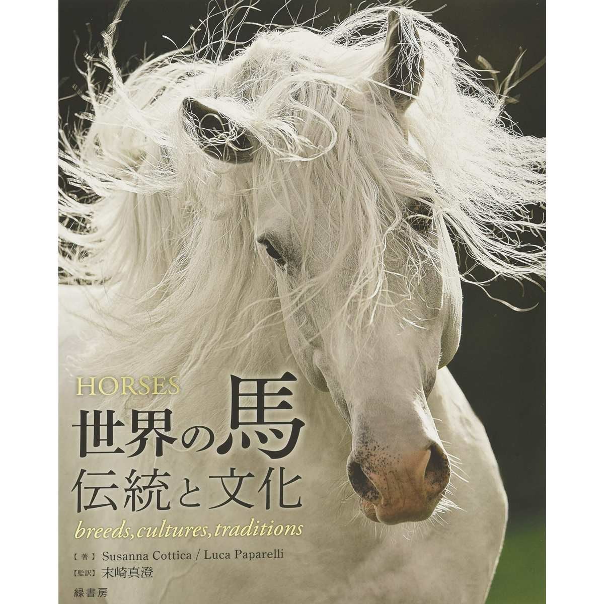 ドレッサージュの基礎―馬と共に成長したい騎手のためのガイドライン