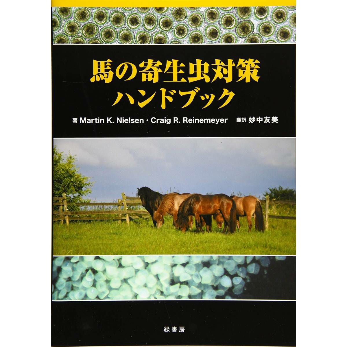 ボルト氏の馬術|JODHPURS (ジョッパーズ) 乗馬用品＆ライフスタイル