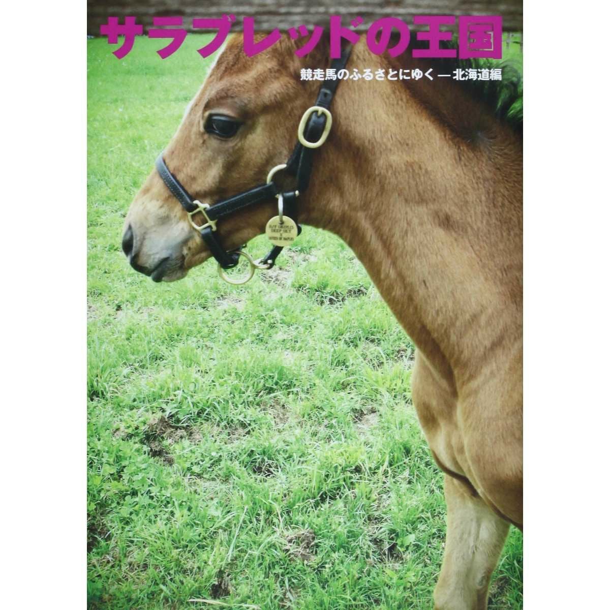 サラブレッドの王国 競走馬のふるさとにゆく－北海道編 (馬ガール選書