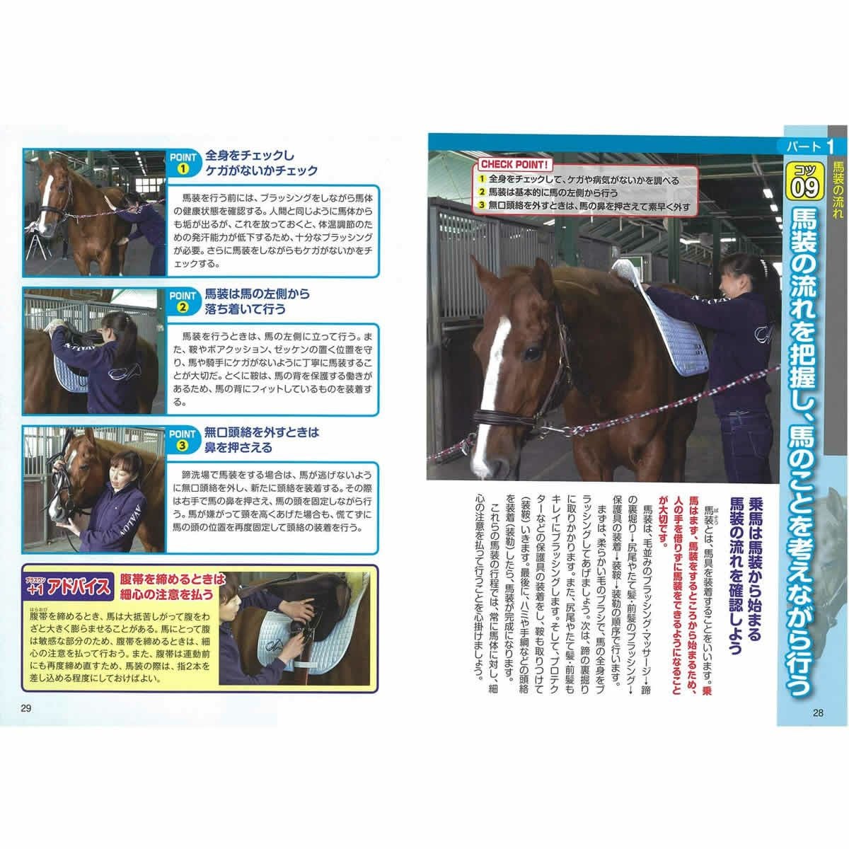 DVDでもっと優雅に! 乗馬上達のコツ50 新装版 (コツがわかる本