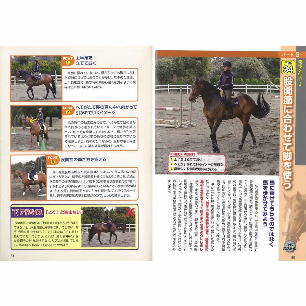 DVDでもっと優雅に! 乗馬上達のコツ50 新装版 (コツがわかる本
