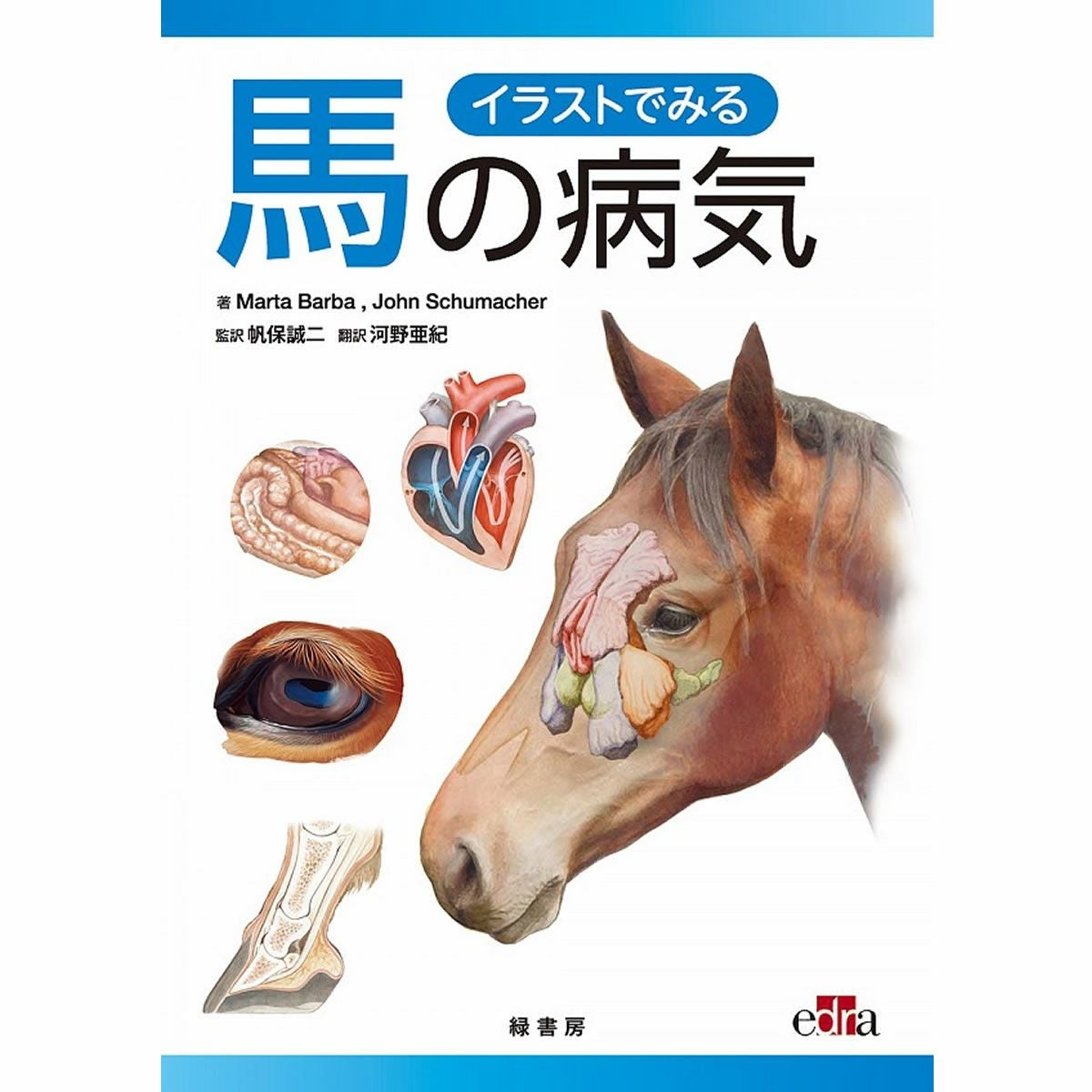 馬のためのグルーミング完全ガイド -WORLD-CLASS GROOMING FOR HORSES