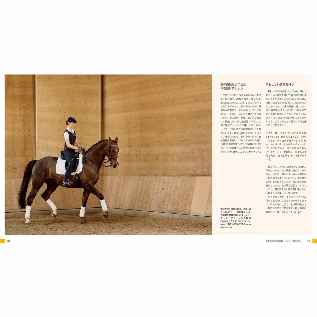 馬場馬術の美しい騎座|JODHPURS (ジョッパーズ) 乗馬用品＆ライフスタイル
