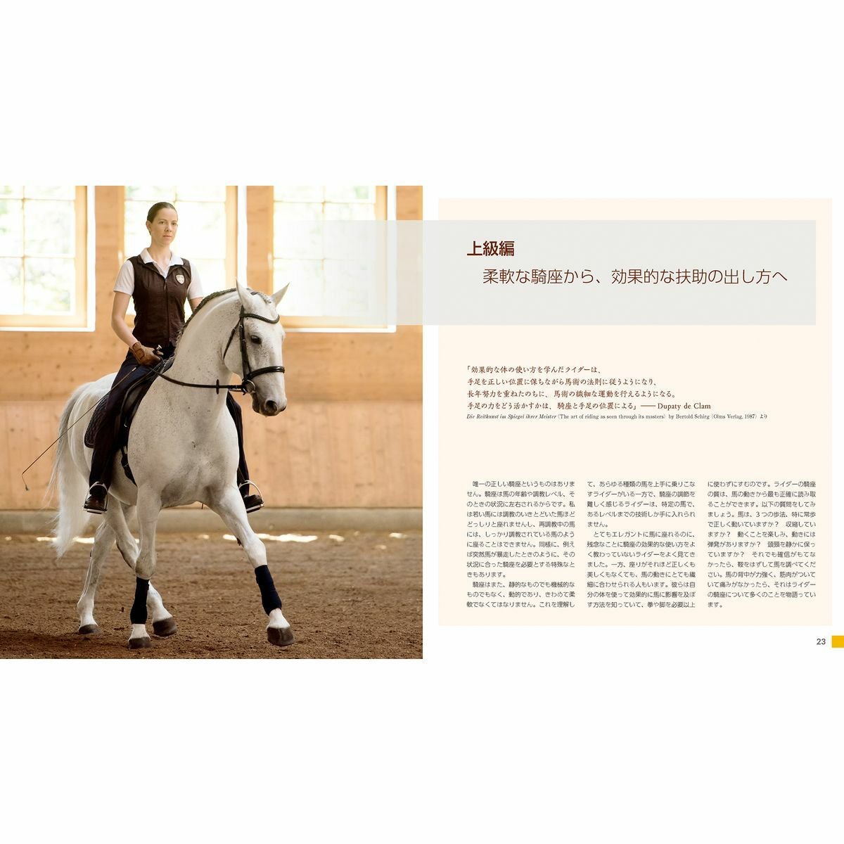 馬場馬術の美しい騎座|JODHPURS (ジョッパーズ) 乗馬用品＆ライフスタイル