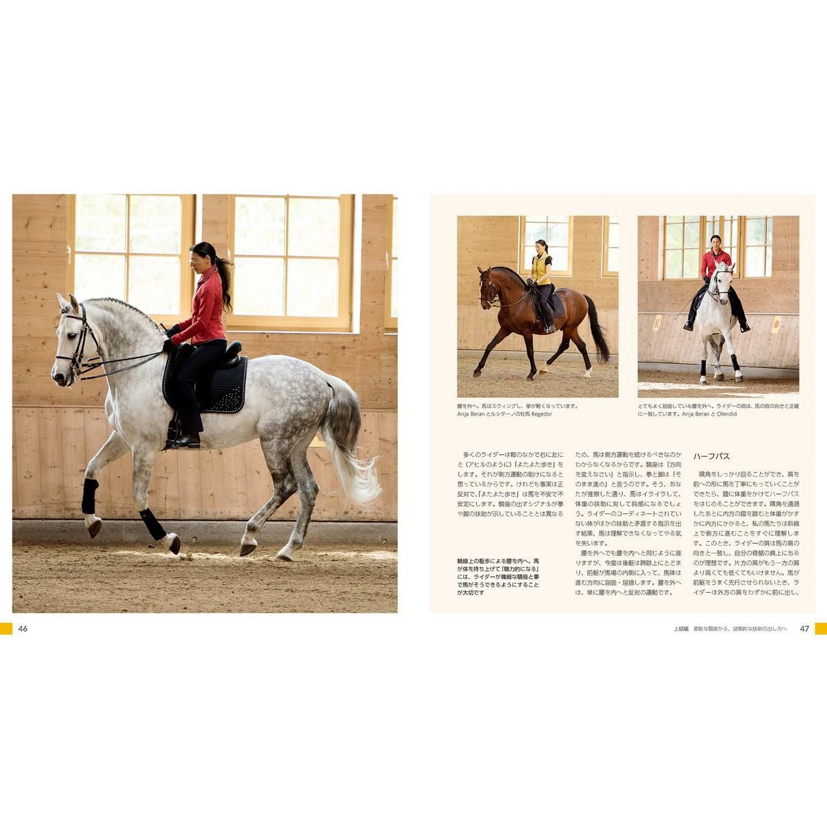 馬場馬術の美しい騎座|JODHPURS (ジョッパーズ) 乗馬用品＆ライフスタイル