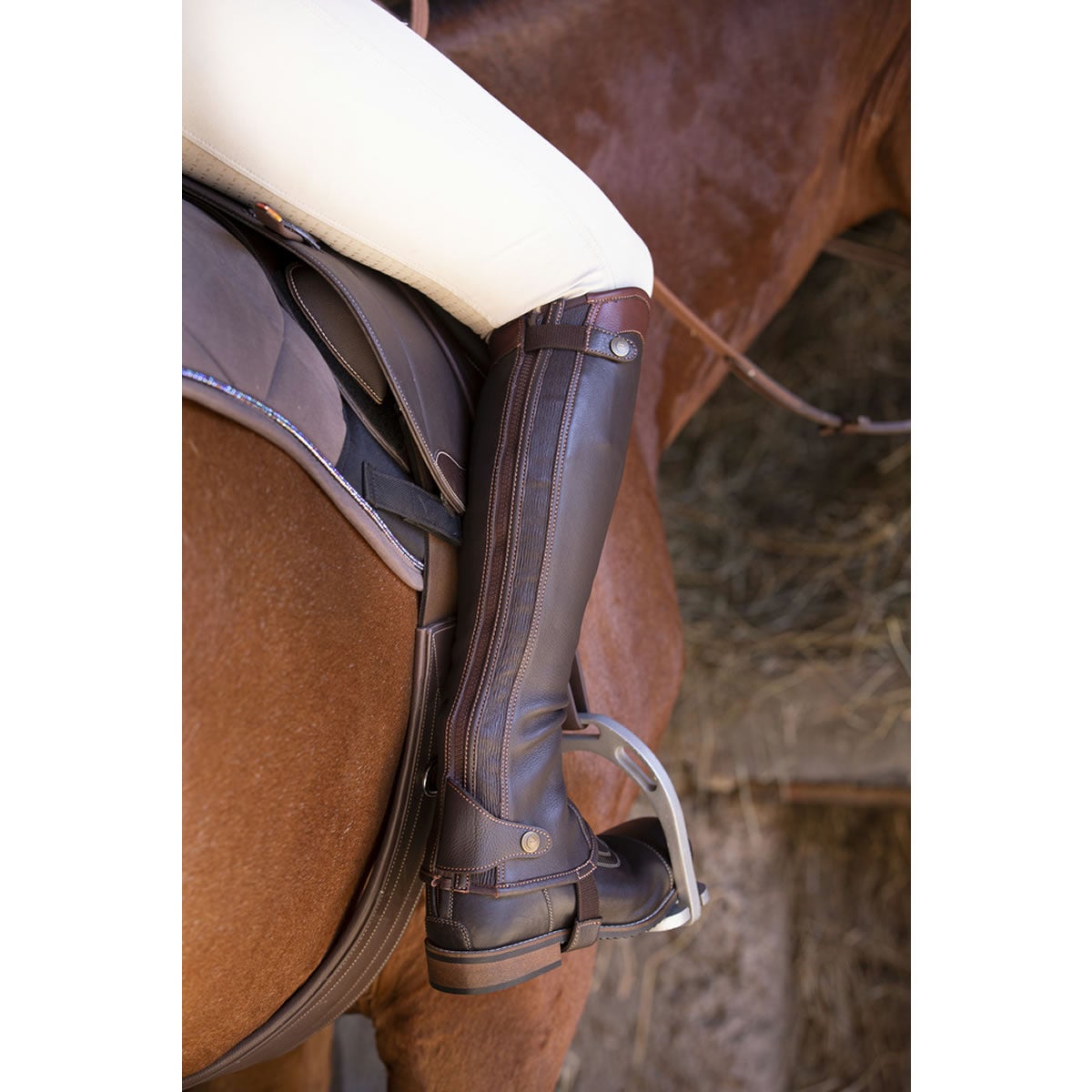 EQUITHEME エリート 本革 ハーフ チャップス|JODHPURS (ジョッパーズ