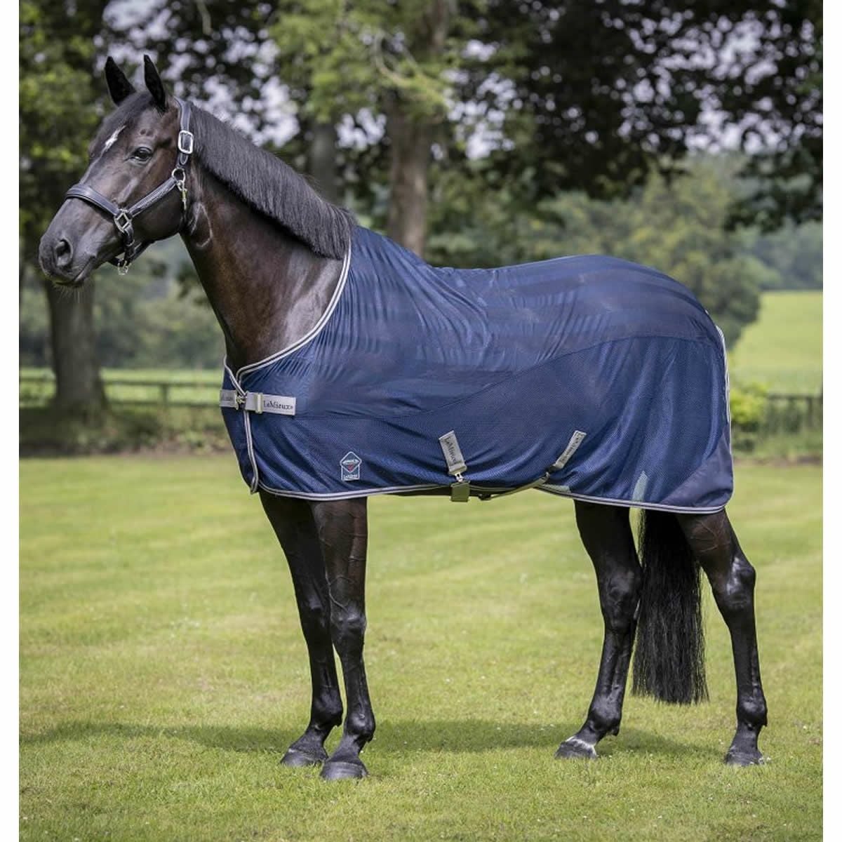 馬着|JODHPURS (ジョッパーズ) 乗馬用品＆ライフスタイル