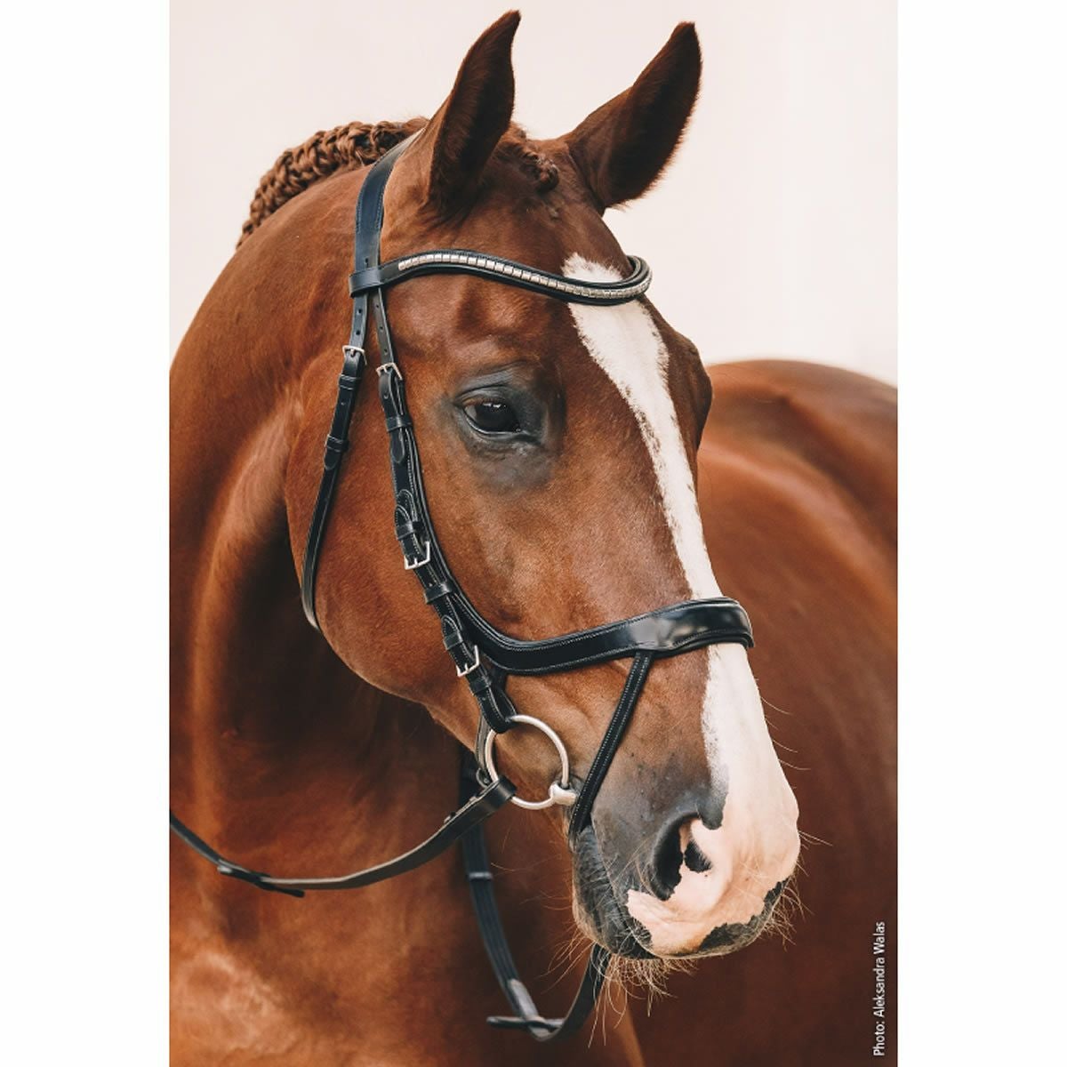 Covalliero 厩舎・輸送用 プロテクター|JODHPURS (ジョッパーズ) 乗馬