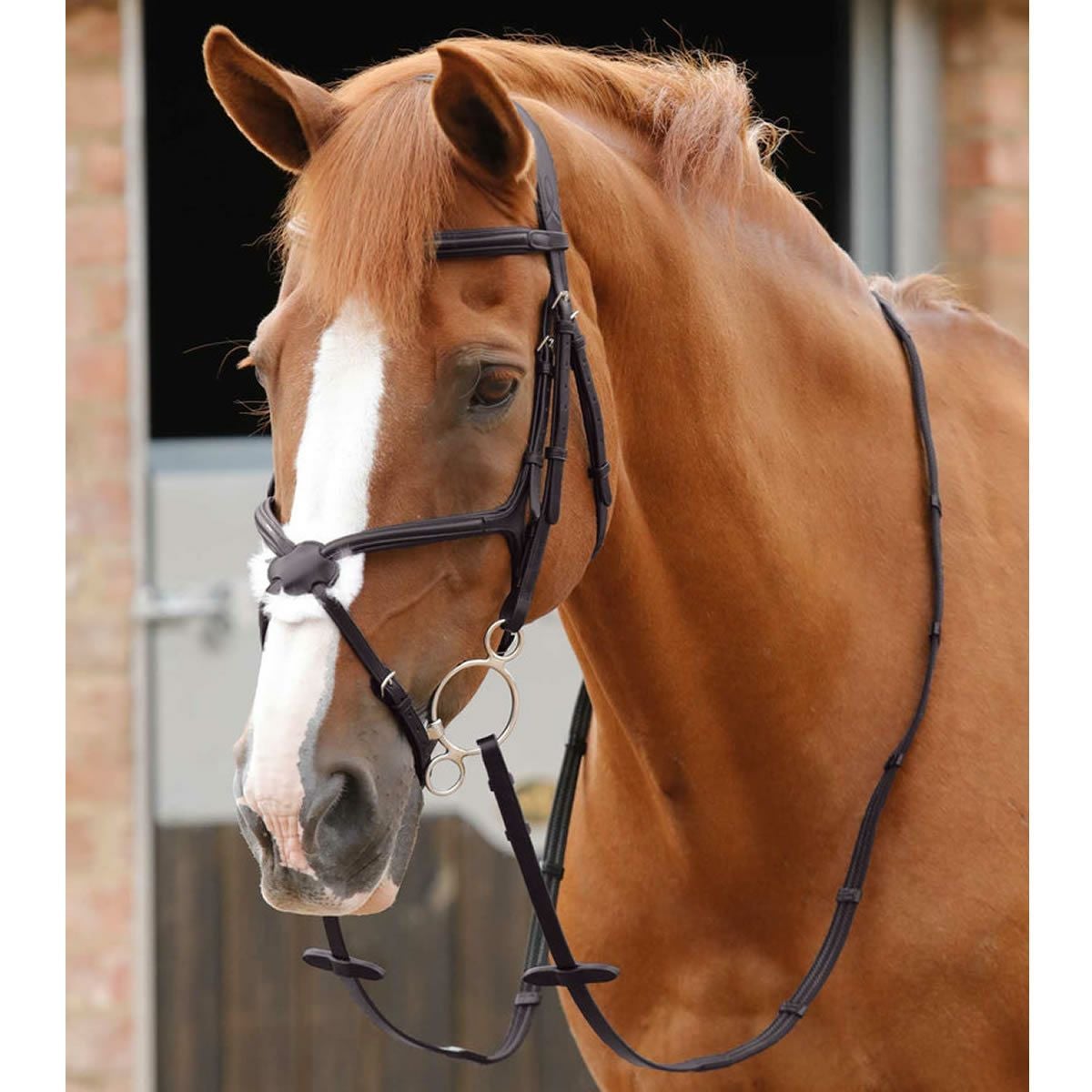 Premier Equine ドメニコ ゴム編み込み 布手綱（ピッチ付き）|JODHPURS