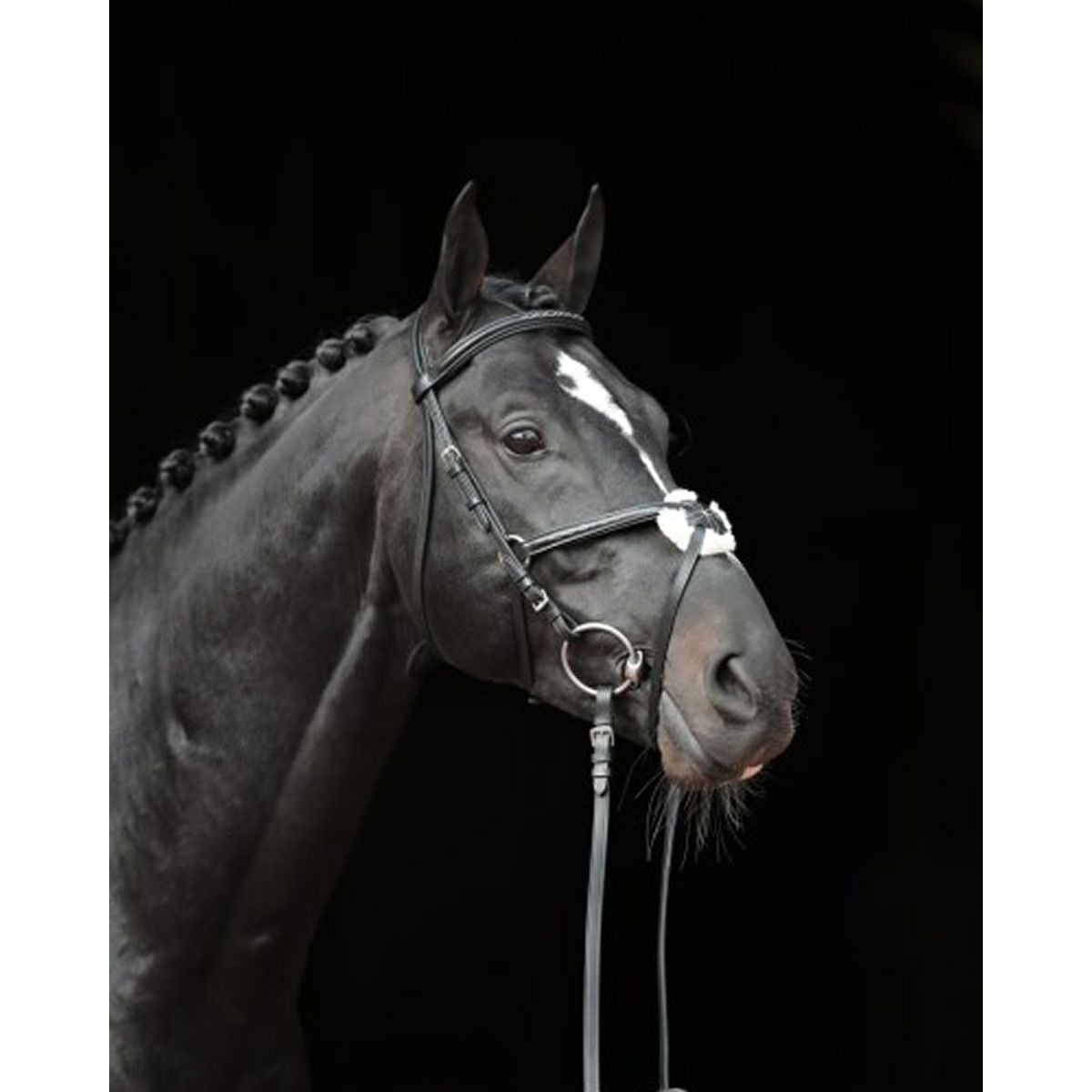 Covalliero カンクン クロス鼻革 水勒頭絡 セット（手綱付き