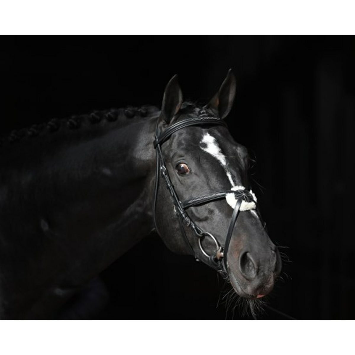 Covalliero カンクン クロス鼻革 水勒頭絡 セット（手綱付き