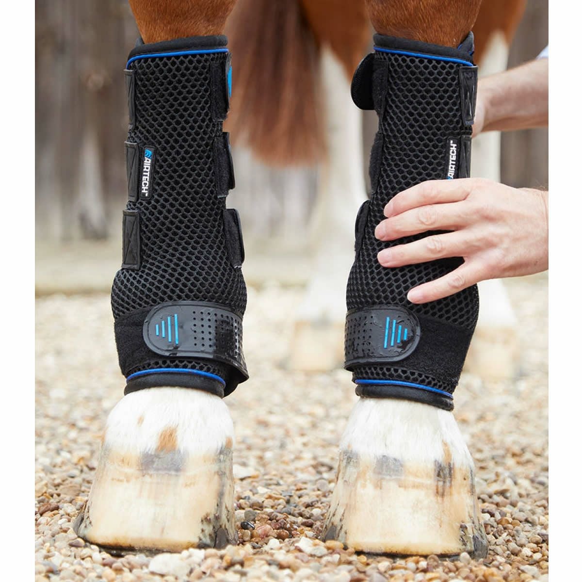 Premier Equine アイシングブーツ（左右1セット）|JODHPURS