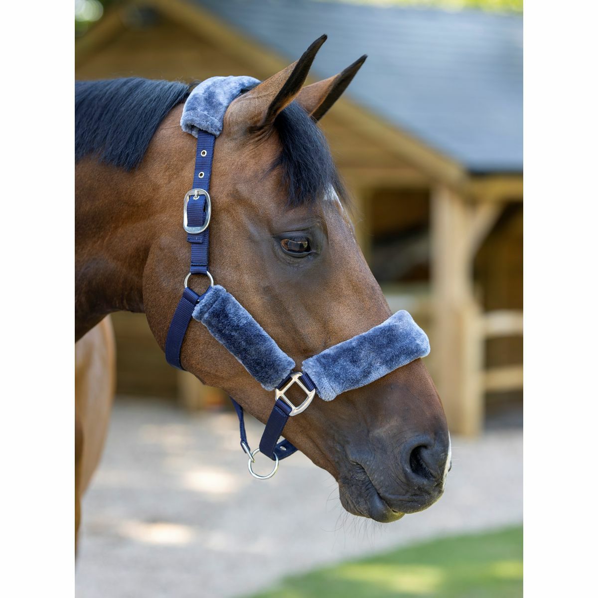 LeMieux ファー付き 無口|JODHPURS (ジョッパーズ) 乗馬用品＆ライフ