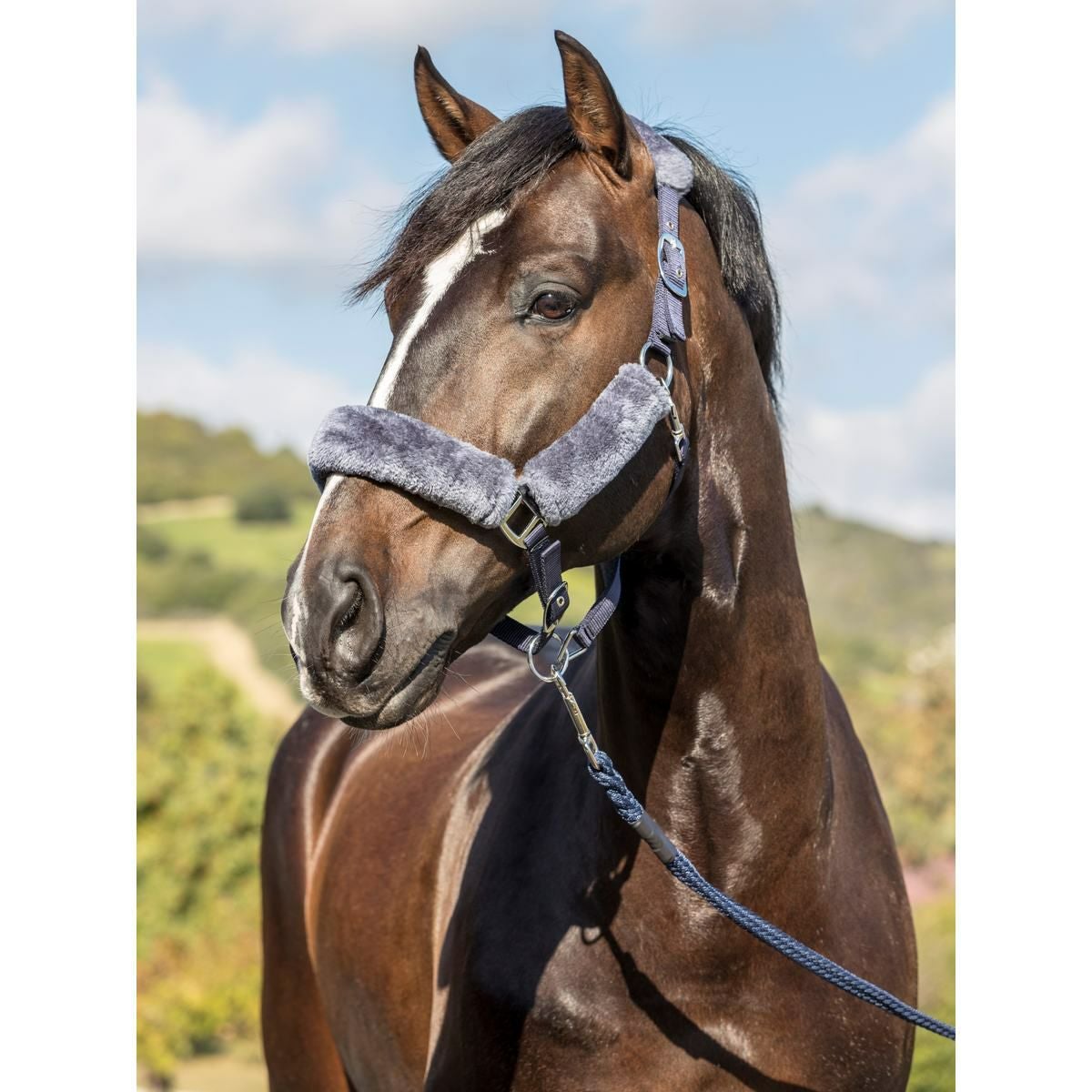 LeMieux ファー付き 無口|JODHPURS (ジョッパーズ) 乗馬用品＆ライフ