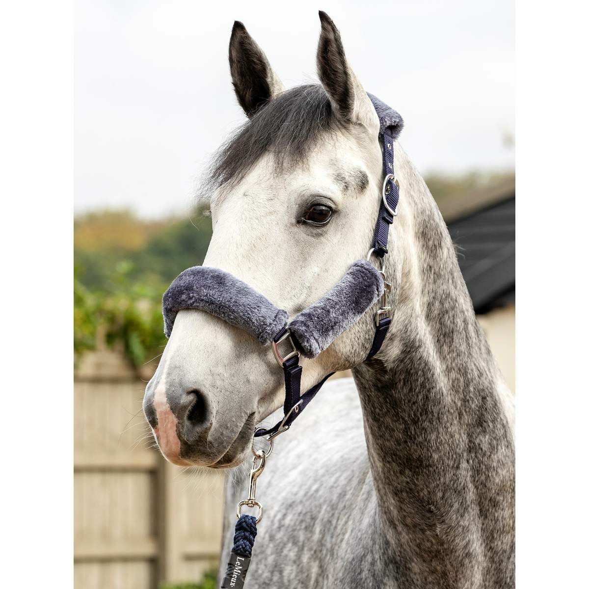 LeMieux ファー付き 無口|JODHPURS (ジョッパーズ) 乗馬用品＆ライフ