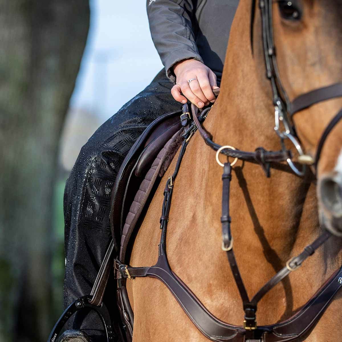 LeMieux ウォータープルーフ チャップス|JODHPURS (ジョッパーズ) 乗馬