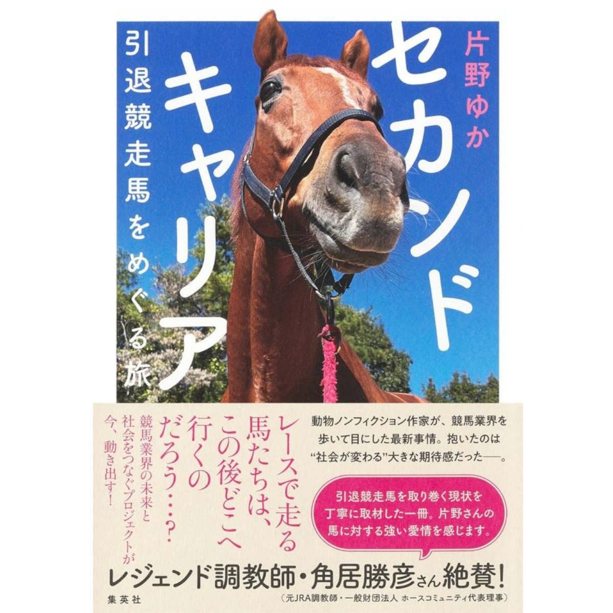 セカンドキャリア 引退競走馬をめぐる旅|JODHPURS (ジョッパーズ) 乗馬
