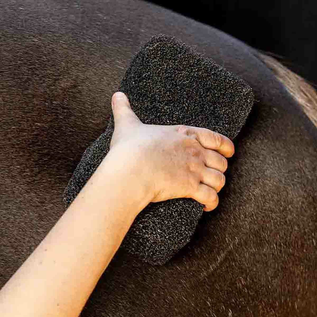 M3 スーパー馬券アイテム QHP エクイ スーパーシャイナー（スポンジ状ブラシ）|JODHPURS