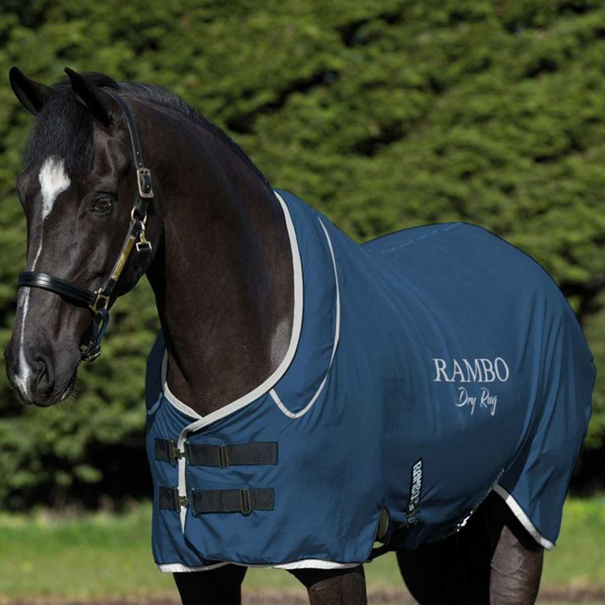 馬着|JODHPURS (ジョッパーズ) 乗馬用品＆ライフスタイル