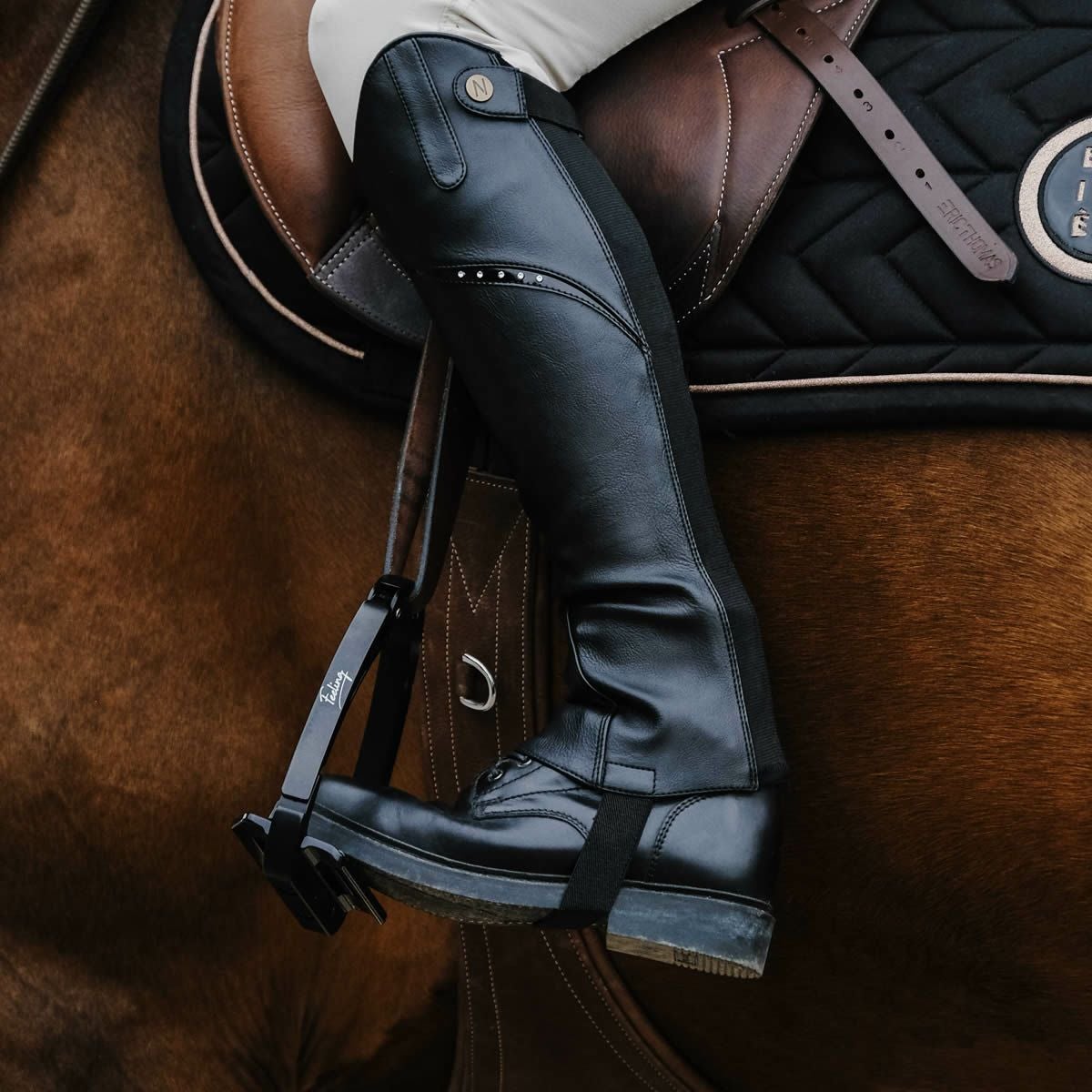 チャップス・ゲートル|JODHPURS (ジョッパーズ) 乗馬用品＆ライフスタイル