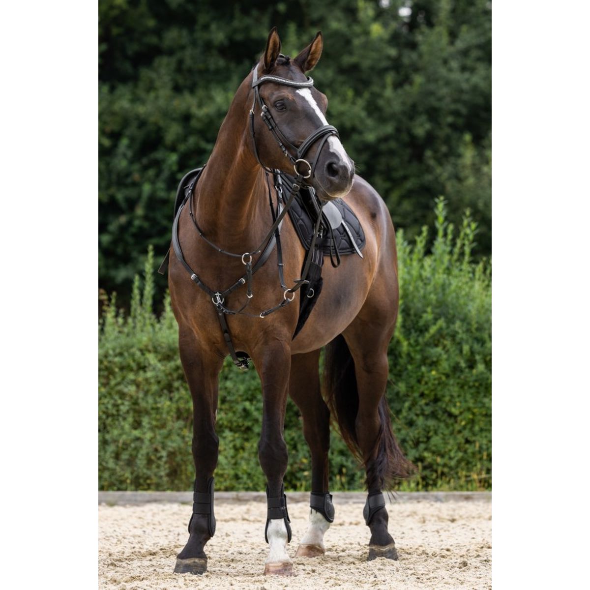 Covalliero　カバリエロ　グルーミングバッグ　乗馬　馬術 処分価格 Covalliero カバリエロ グルーミングバッグ 手入れ道具 ケア