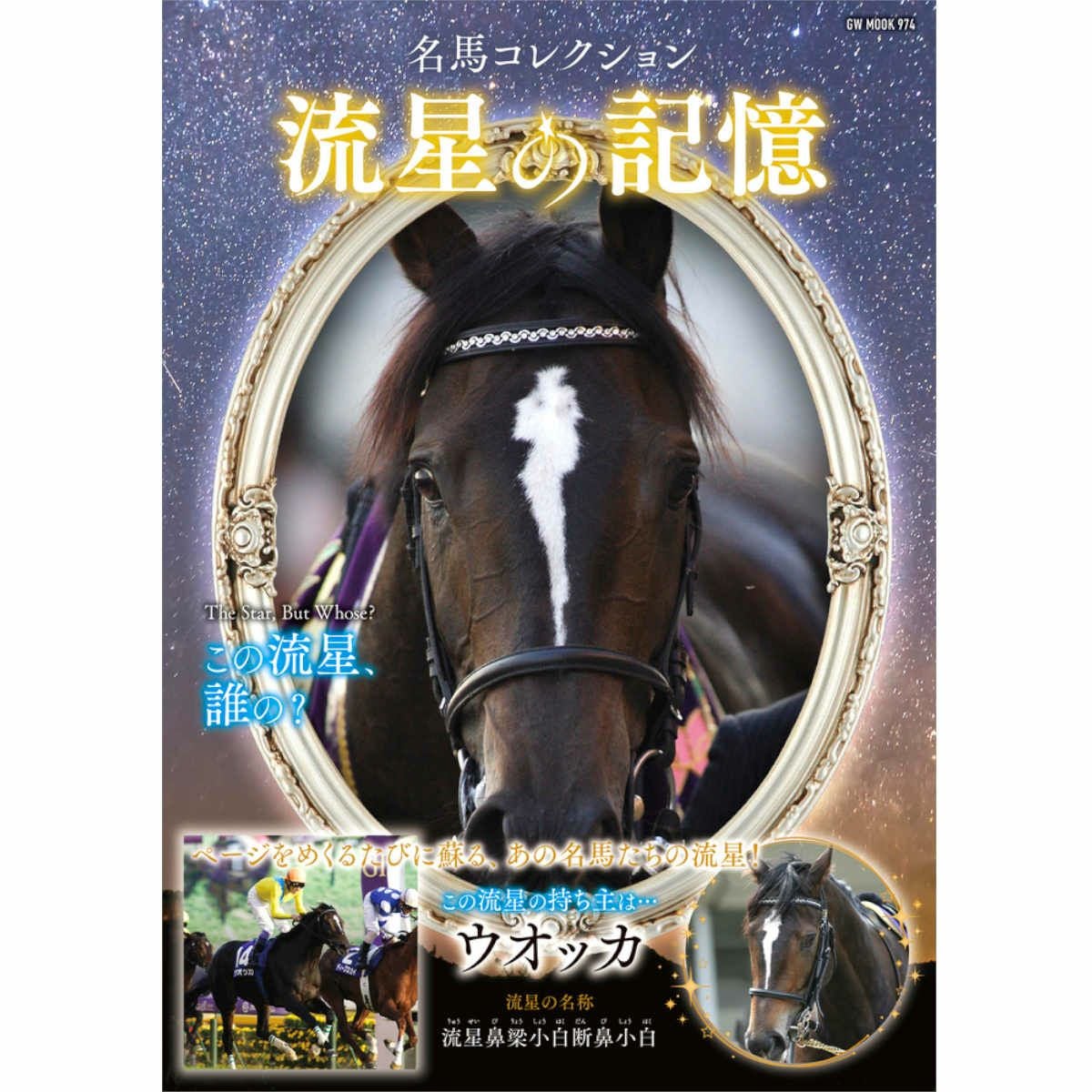 名馬コレクション 流星の記憶|JODHPURS (ジョッパーズ) 乗馬用品