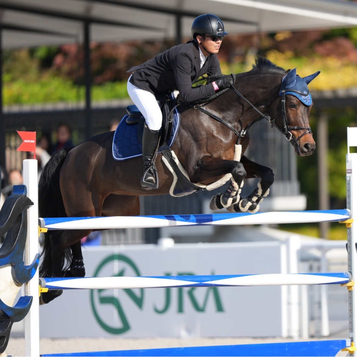 エアメッシュ　イヤーネット　ネイビー＆ネイビーF　エナメルトリム　乗馬　馬術 処分品 ネイビー2枚 エアメッシュ イヤーネット エナメルトリム 乗馬