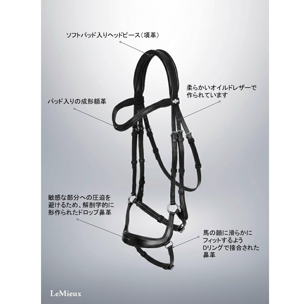 LeMieux アリカ ドロップ鼻革 水勒頭絡|JODHPURS (ジョッパーズ) 乗馬