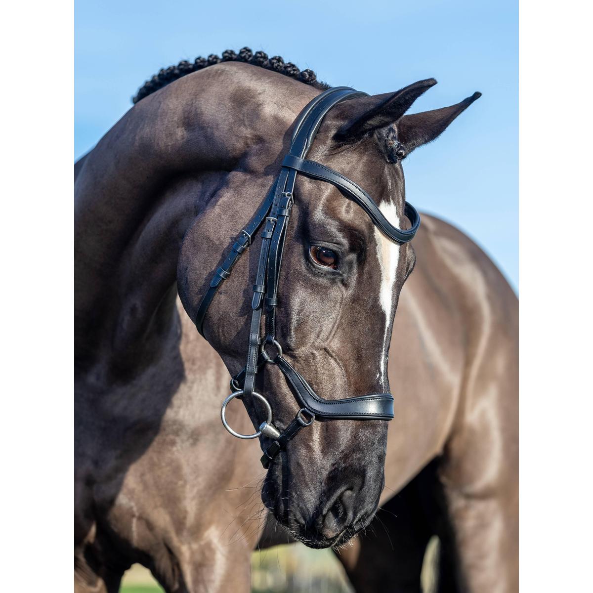 LeMieux アリカ ドロップ鼻革 水勒頭絡|JODHPURS (ジョッパーズ) 乗馬