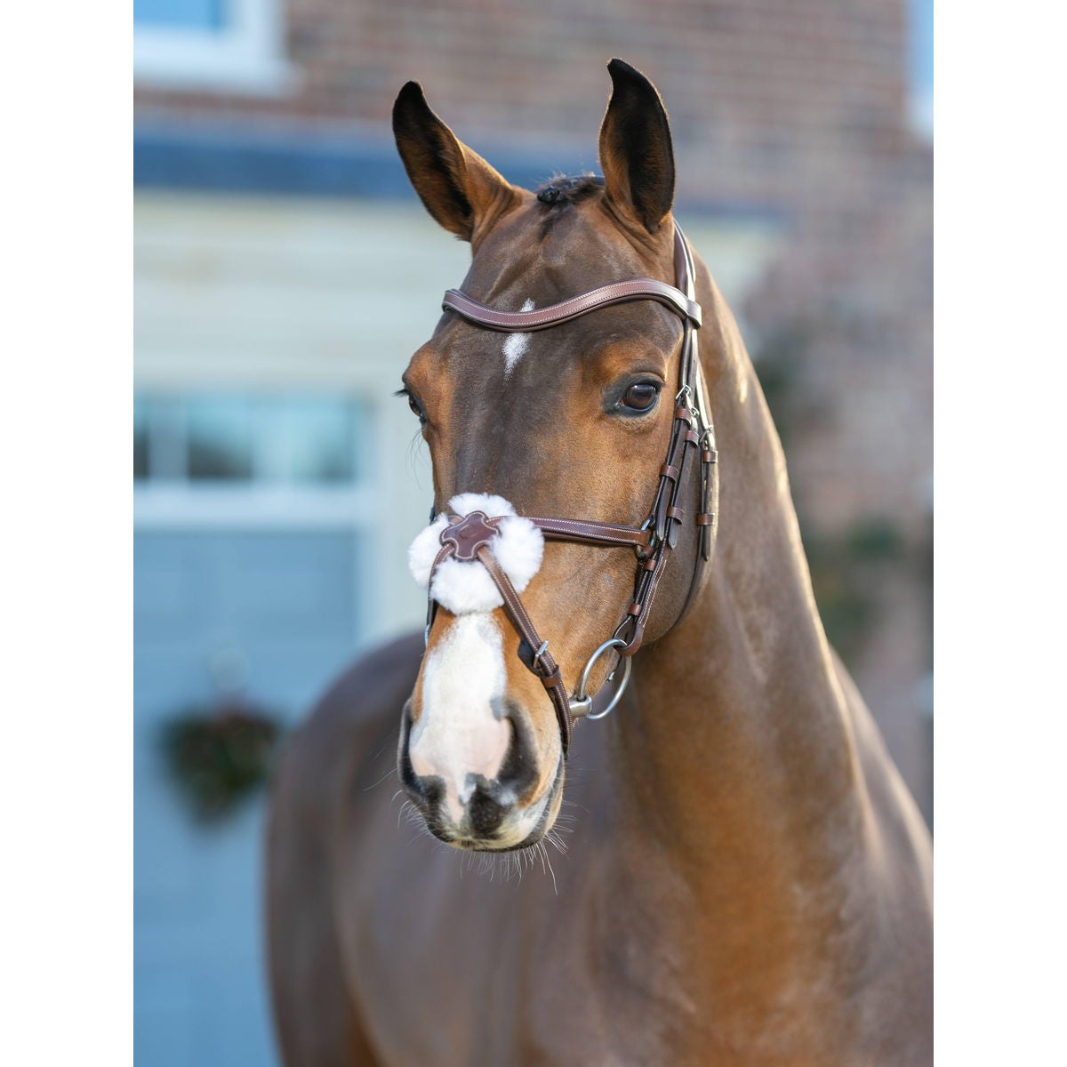 LA・RUE　ロックストーン　ブラウン75　本革 レザーベルト 乗馬用品　馬術 LA・RUE ロックストーン ブラウン75 本革 レザーベルト 乗馬用品 馬術