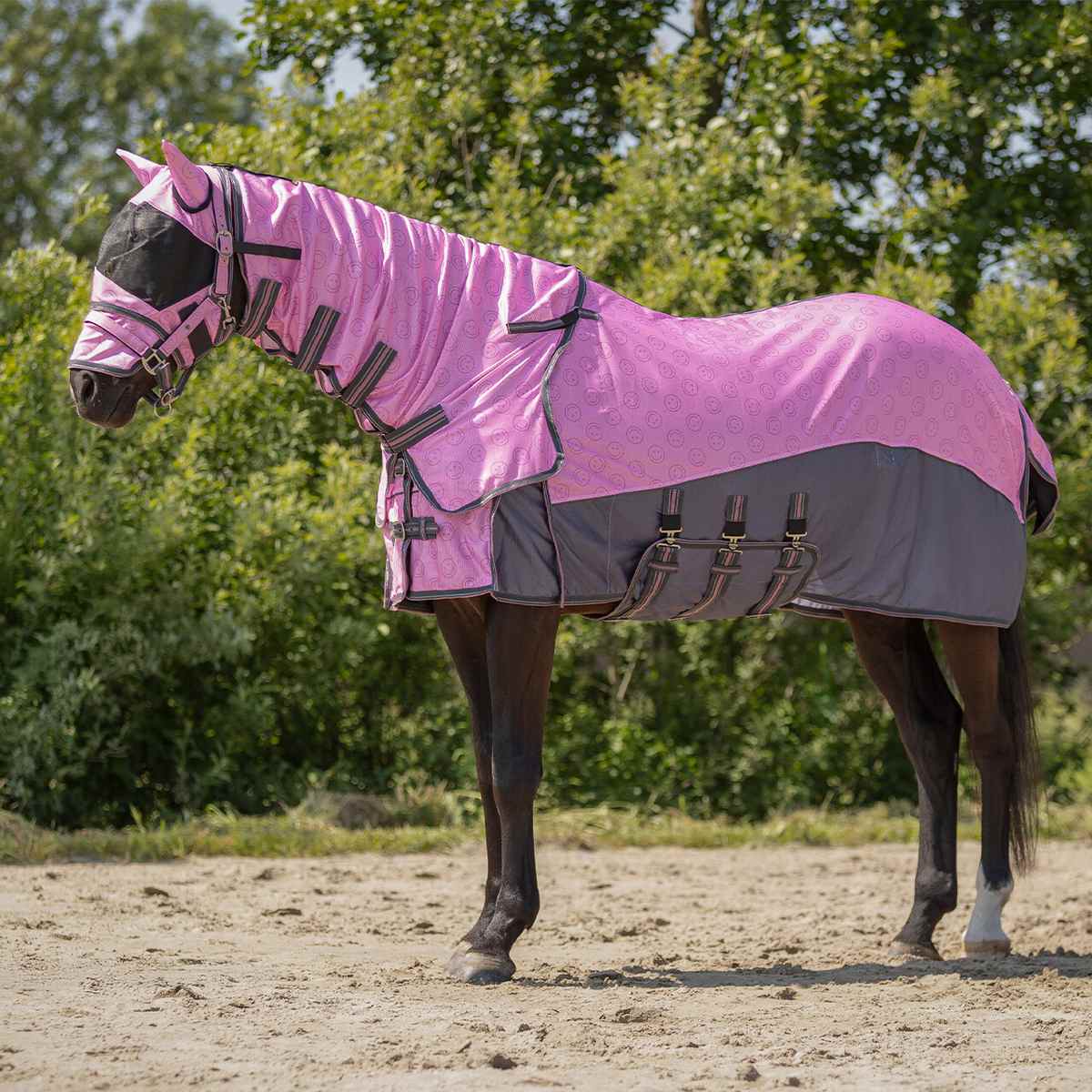 馬着|JODHPURS (ジョッパーズ) 乗馬用品＆ライフスタイル