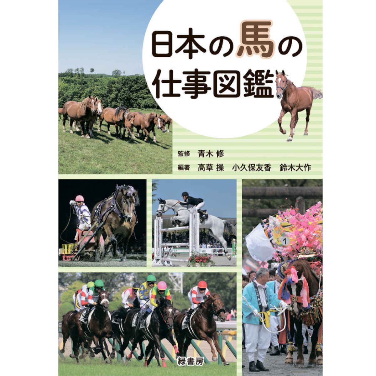 乗馬ハンドブック|JODHPURS (ジョッパーズ) 乗馬用品＆ライフスタイル