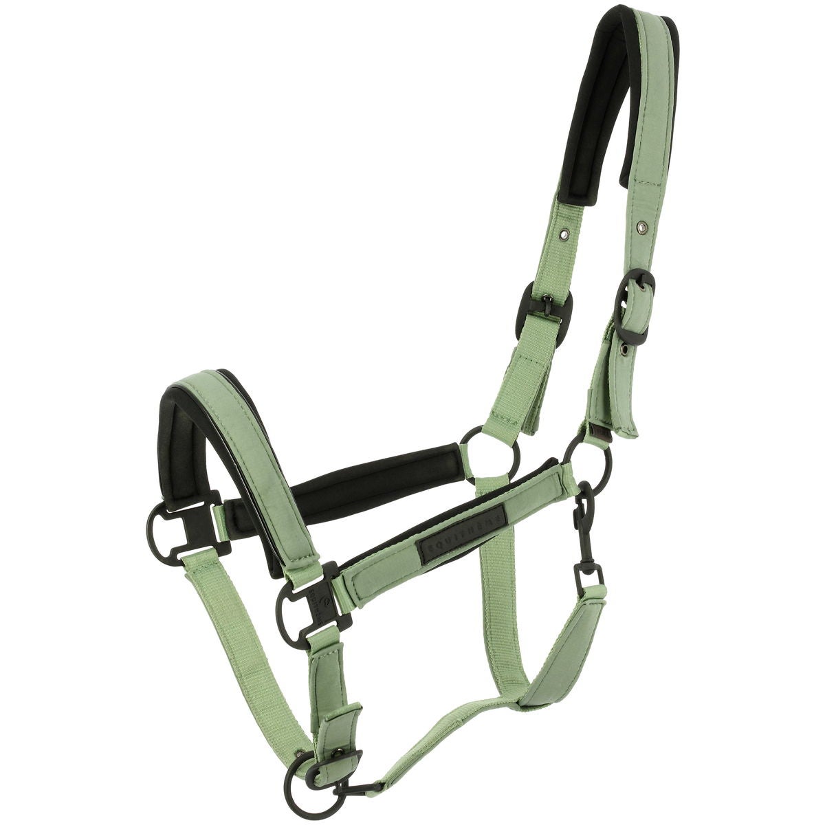 新着アイテム|JODHPURS (ジョッパーズ) 乗馬用品＆ライフスタイル