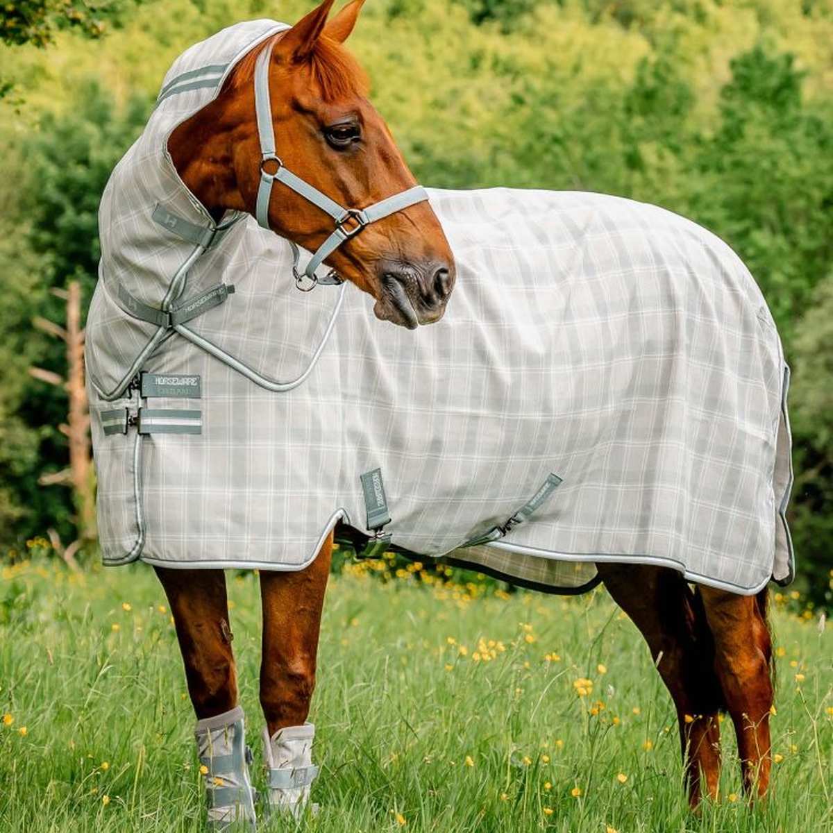 馬着|JODHPURS (ジョッパーズ) 乗馬用品＆ライフスタイル
